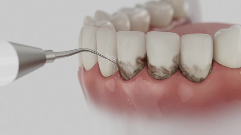 Reliable Dental contractor in Verona, VA by Dentist Open Now